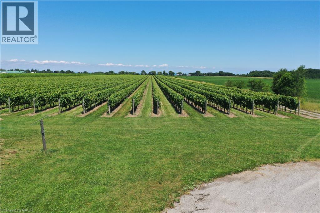 3705 Service Road N, Beamsville, Ontario  L3J 1J3 - Photo 22 - 40836900