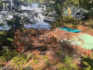 431 Healey Lake, The Archipelago, Ontario  P0G 1G0 - Photo 22 - 40836892