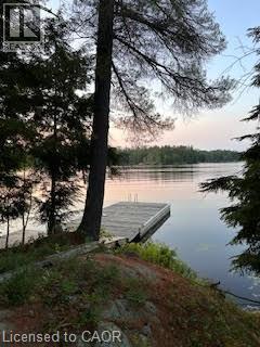 431 Healey Lake, The Archipelago, Ontario  P0G 1G0 - Photo 5 - 40836892