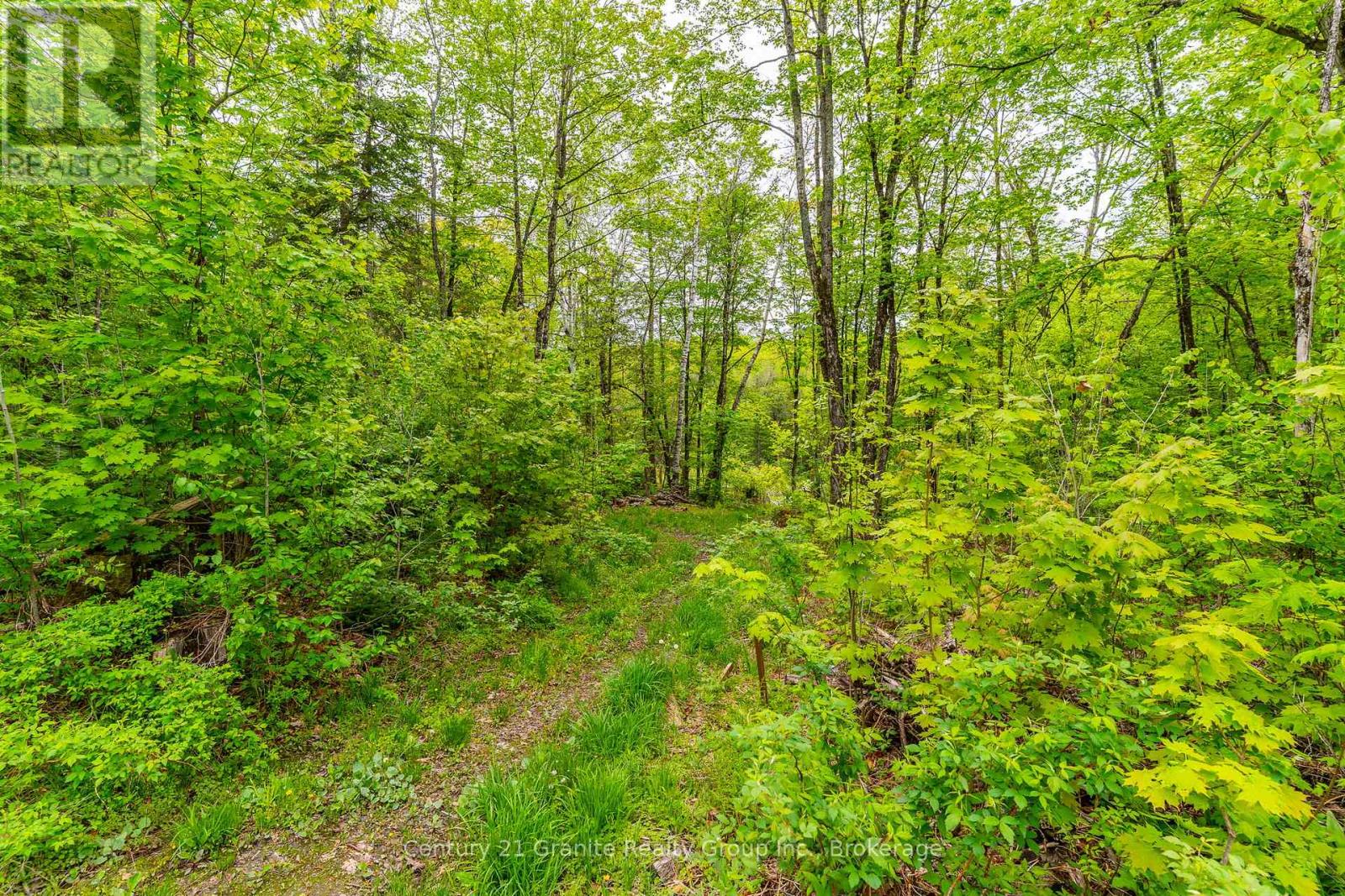 18240 Highway 118, Highlands East, Ontario  K0L 2Y0 - Photo 42 - X13243166