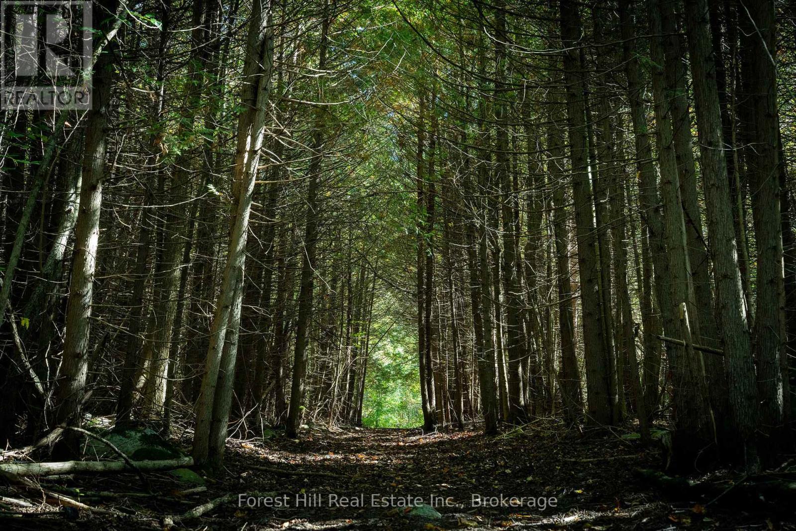 496629 Grey Road 2, Blue Mountains, Ontario  N0H 1J0 - Photo 26 - X13243270