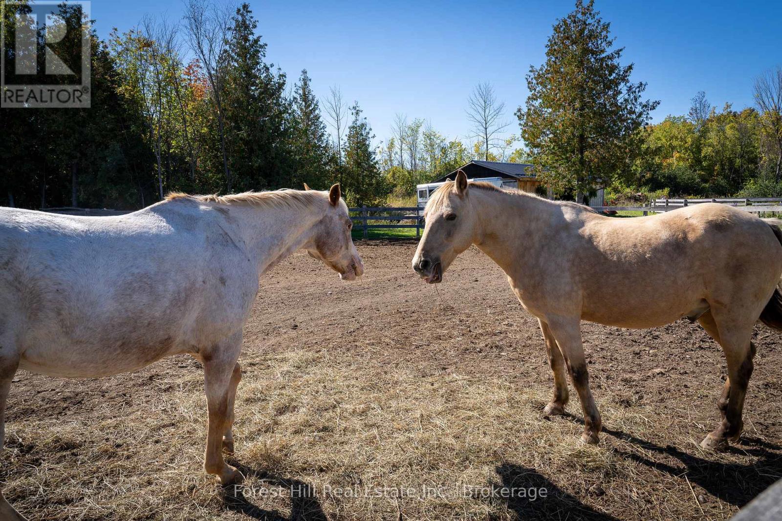 496629 Grey Road 2, Blue Mountains, Ontario  N0H 1J0 - Photo 32 - X13243270