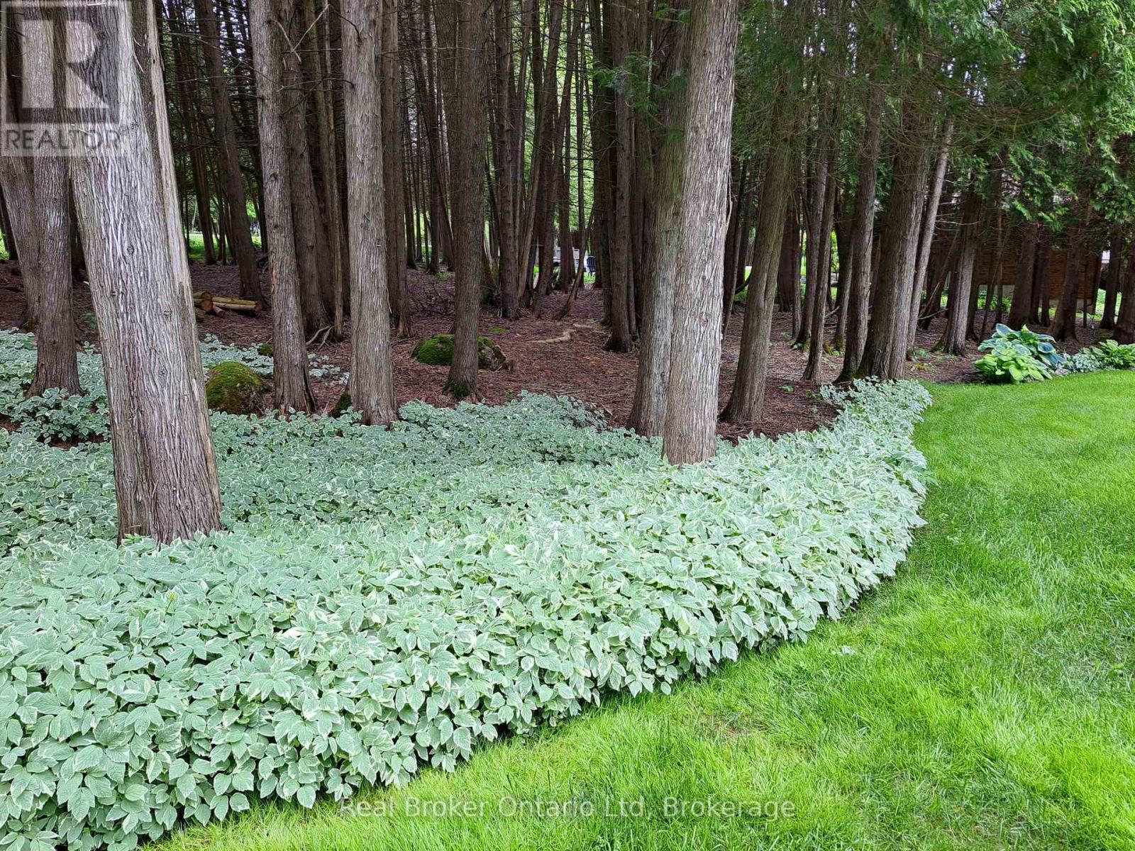 222431 Derby-Keppel Townline, Georgian Bluffs, Ontario  N4K 5N7 - Photo 45 - X13243490