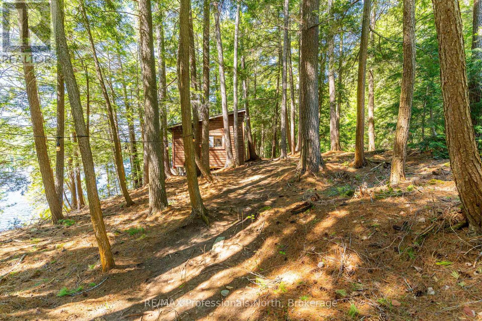 12556 Little Hawk - Some Day Isle, Algonquin Highlands, Ontario  K0M 1J2 - Photo 35 - X13246436