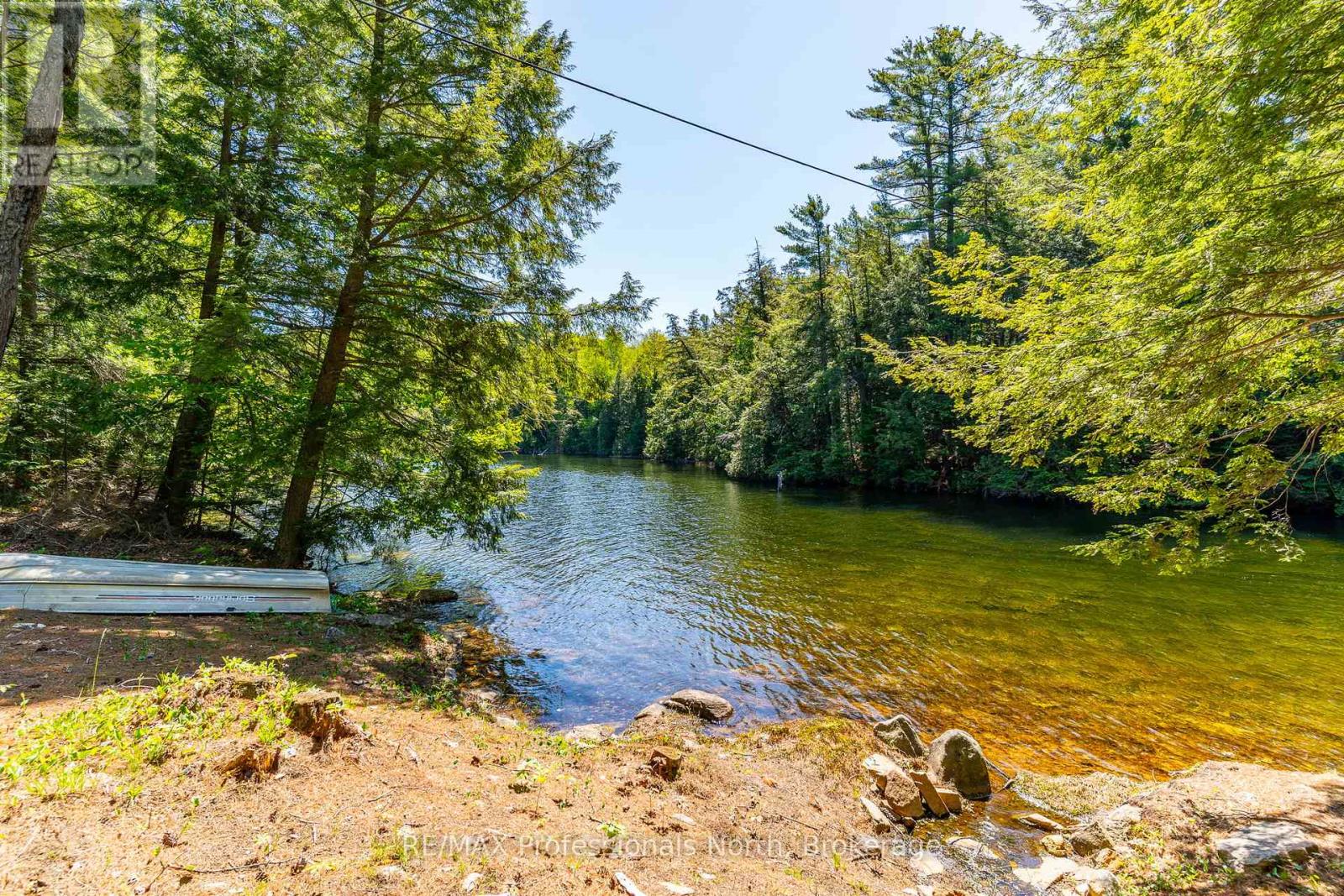 12556 Little Hawk - Some Day Isle, Algonquin Highlands, Ontario  K0M 1J2 - Photo 6 - X13246436