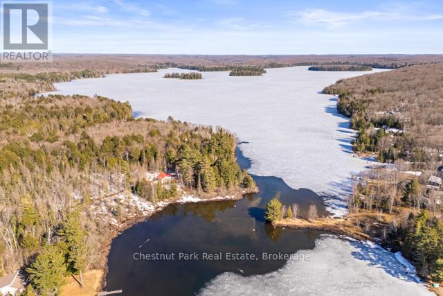 893 Relative Road, Armour, Ontario  P0A 1C0 - Photo 39 - X13246586