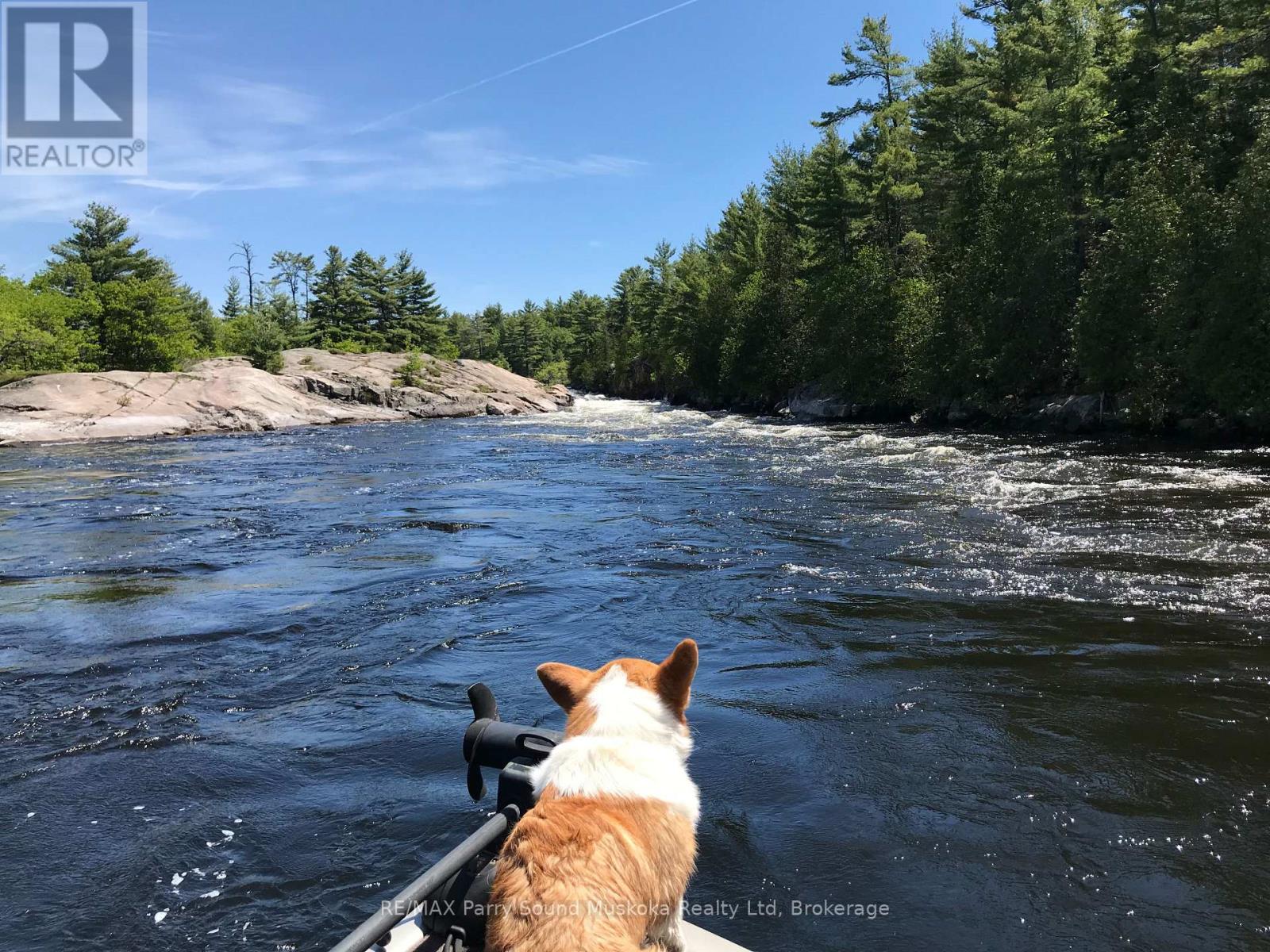 66e Pickerel River, Parry Sound Remote Area, Ontario  P0G 1J0 - Photo 25 - X13247016