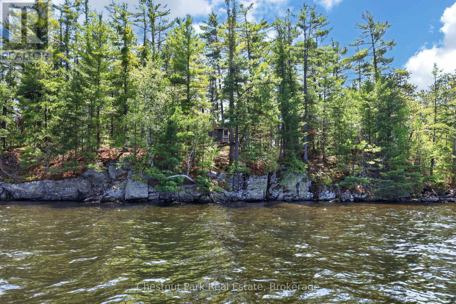 1 Island 20ml Island, Gravenhurst, Ontario  P1P 1R2 - Photo 2 - X13247020