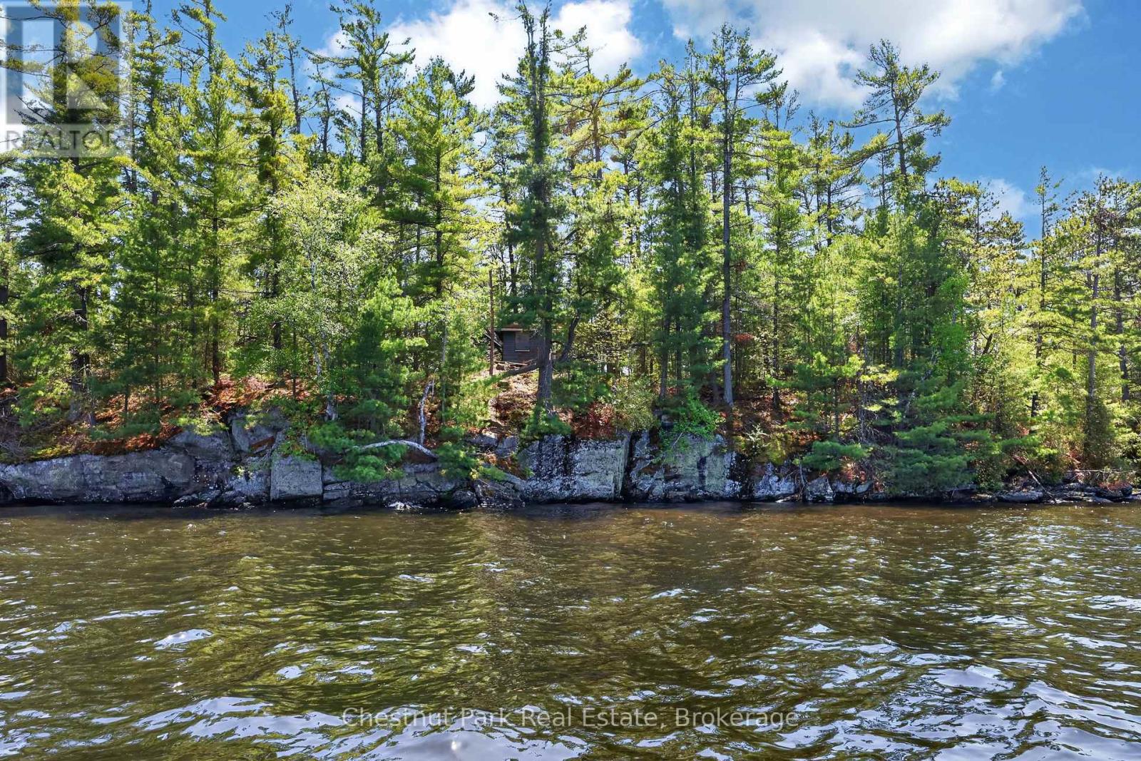 1 Island 20ml Island, Gravenhurst, Ontario  P1P 1R2 - Photo 3 - X13247020