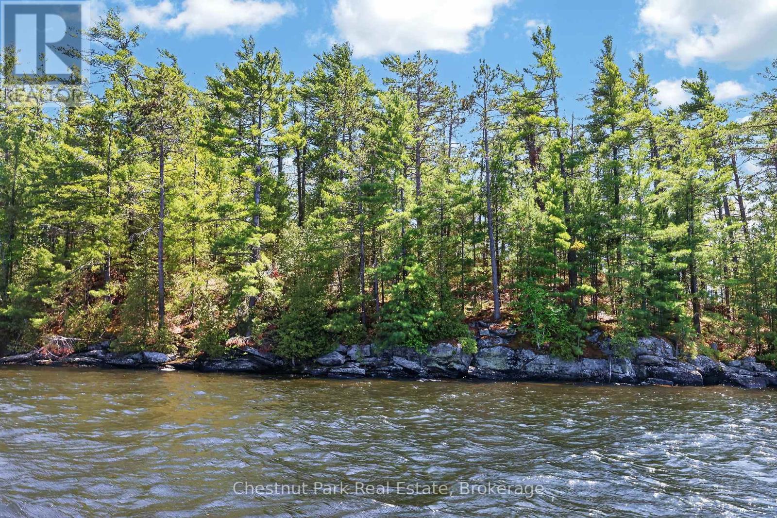 1 Island 20ml Island, Gravenhurst, Ontario  P1P 1R2 - Photo 4 - X13247020