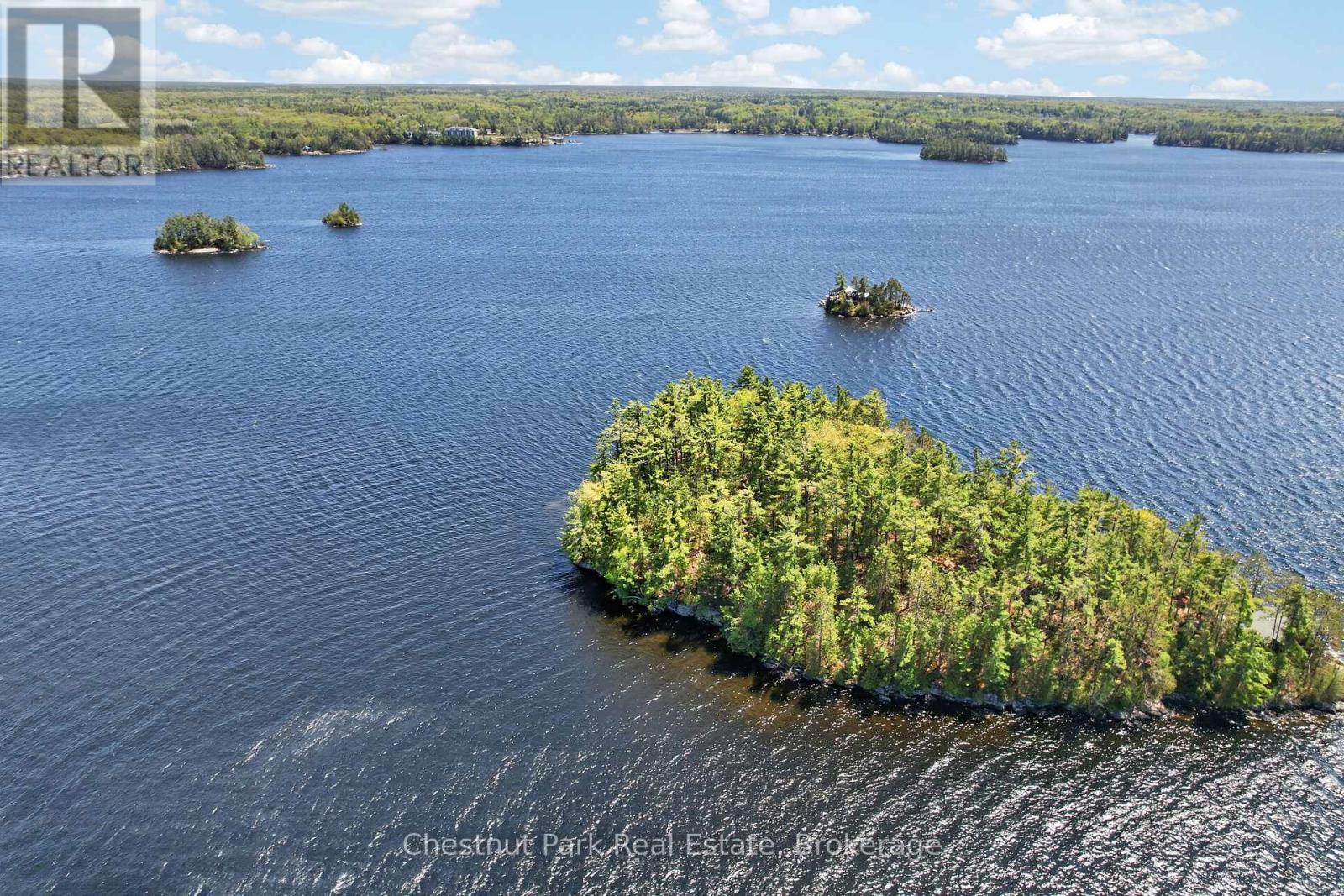 1 Island 20ml Island, Gravenhurst, Ontario  P1P 1R2 - Photo 5 - X13247020