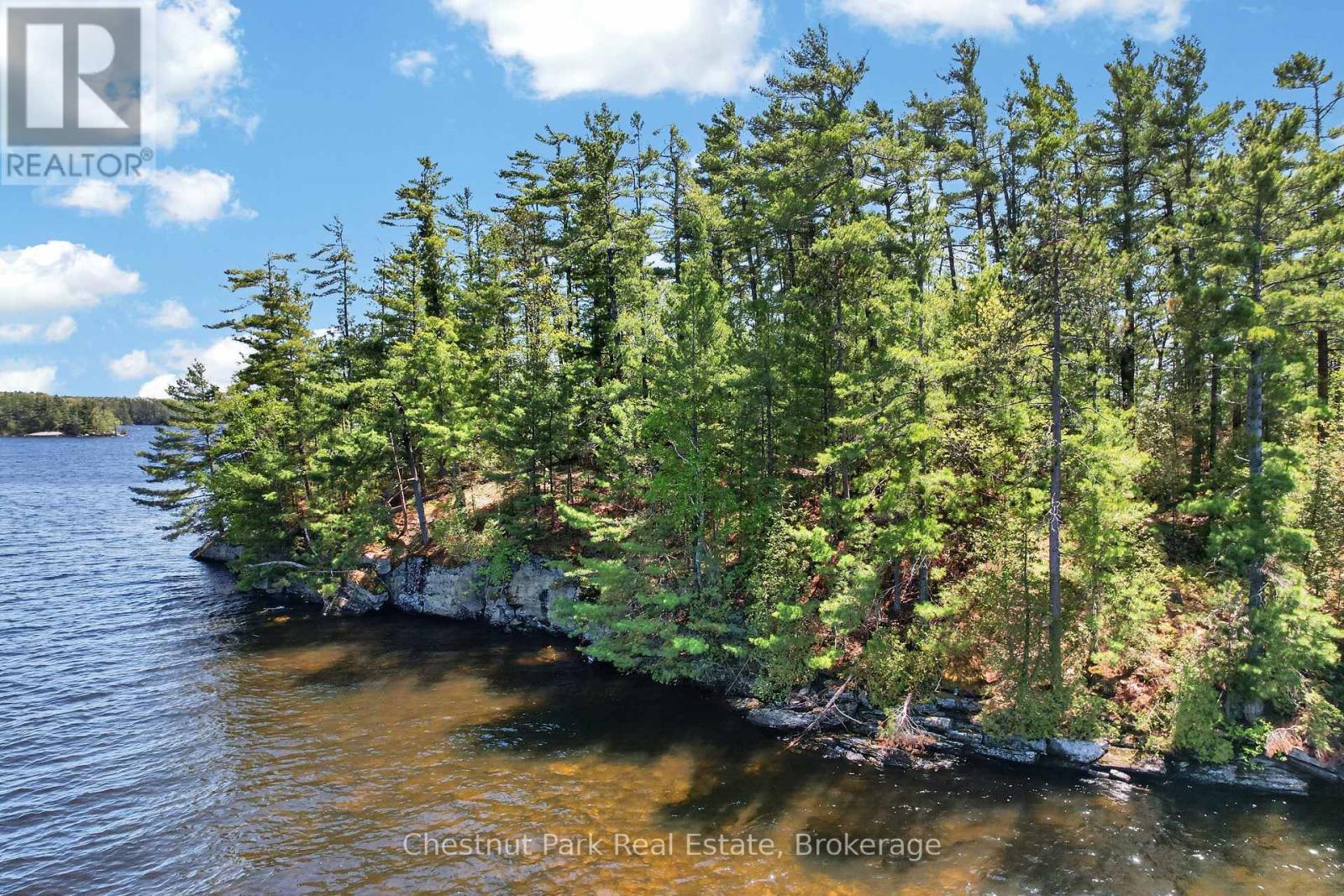 1 Island 20ml Island, Gravenhurst, Ontario  P1P 1R2 - Photo 6 - X13247020