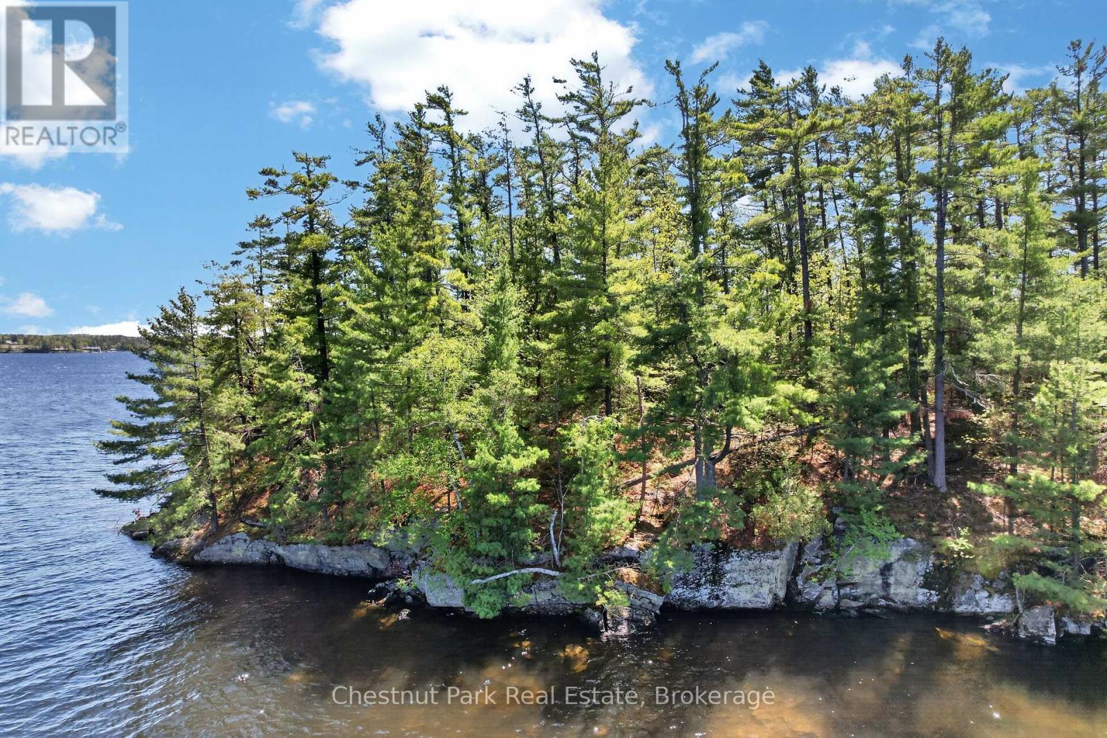 1 Island 20ml Island, Gravenhurst, Ontario  P1P 1R2 - Photo 7 - X13247020