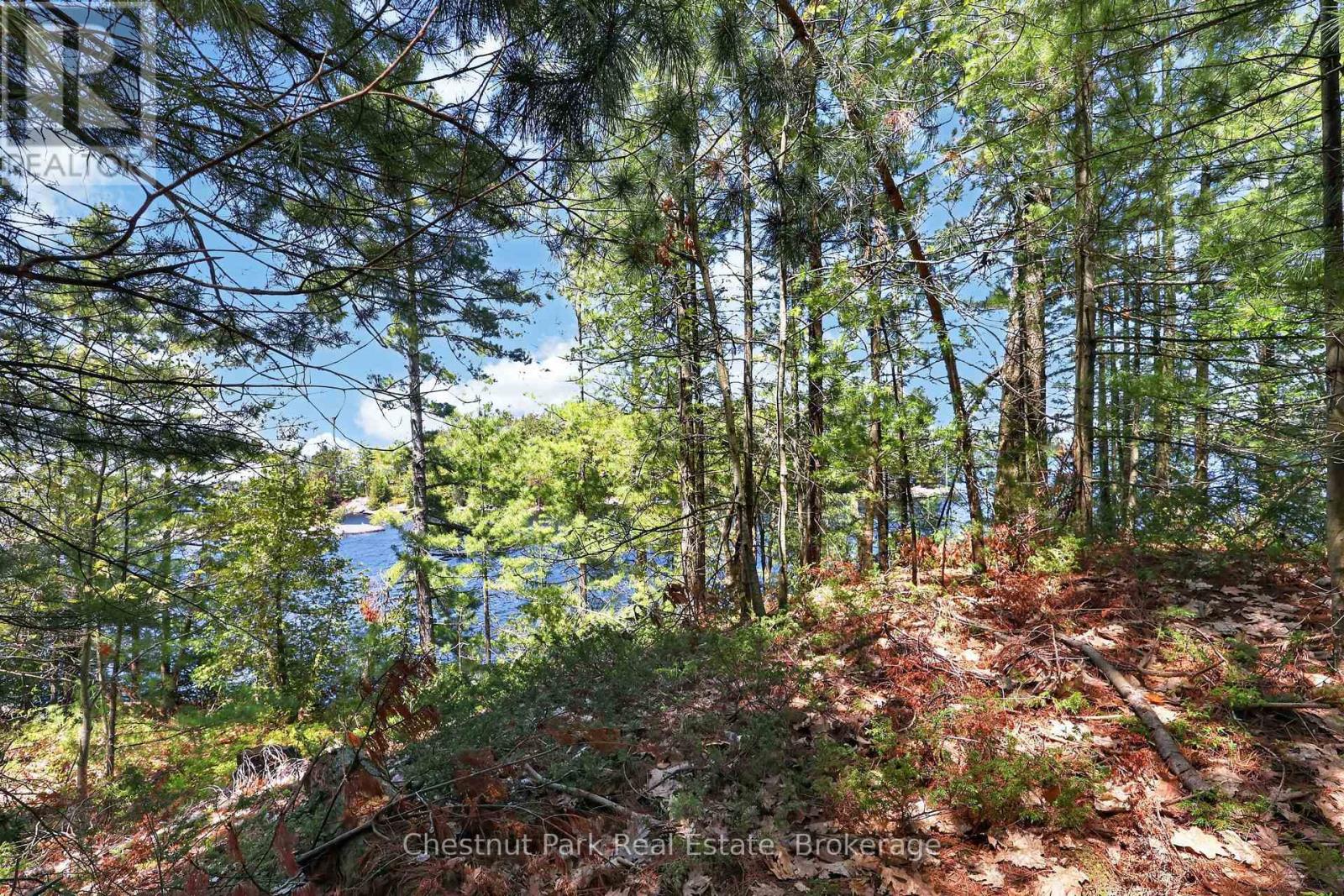 1 Island 20ml Island, Gravenhurst, Ontario  P1P 1R2 - Photo 8 - X13247020