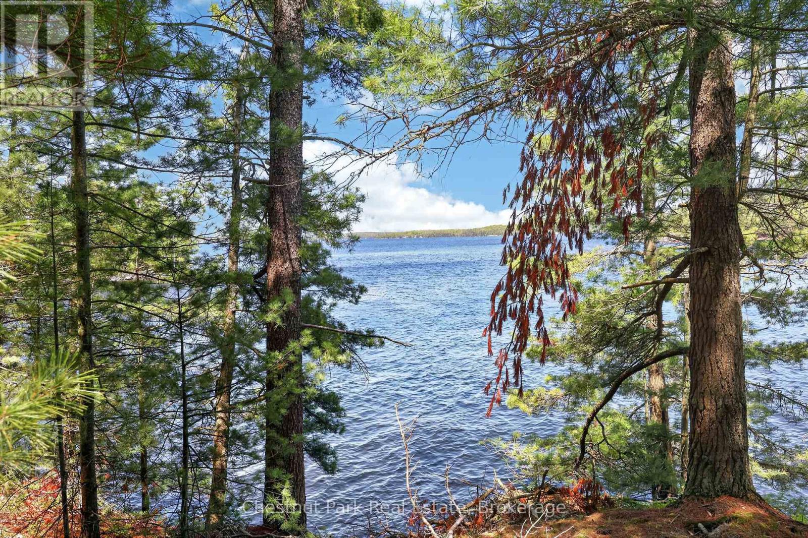 1 Island 20ml Island, Gravenhurst, Ontario  P1P 1R2 - Photo 9 - X13247020