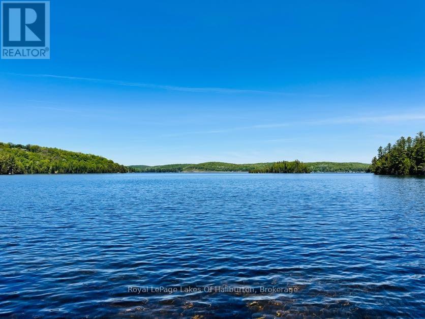 10573 Loon Lake Wao, Highlands East, Ontario  K0M 1S0 - Photo 11 - X13247056