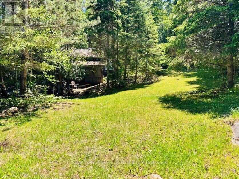 10573 Loon Lake Wao, Highlands East, Ontario  K0M 1S0 - Photo 22 - X13247056
