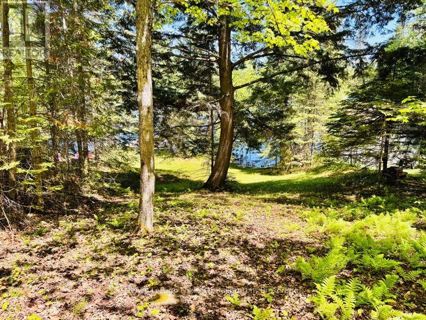 10573 Loon Lake Wao, Highlands East, Ontario  K0M 1S0 - Photo 24 - X13247056