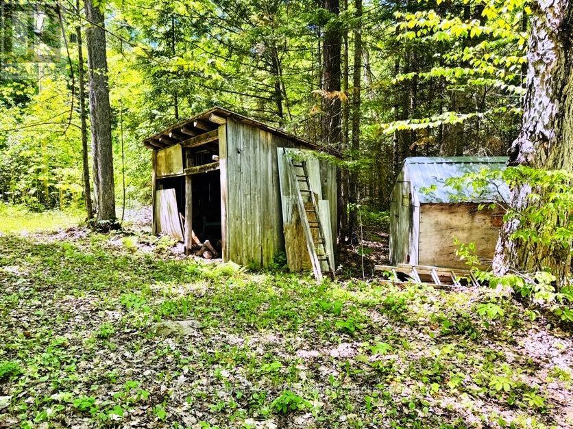 10573 Loon Lake Wao, Highlands East, Ontario  K0M 1S0 - Photo 36 - X13247056