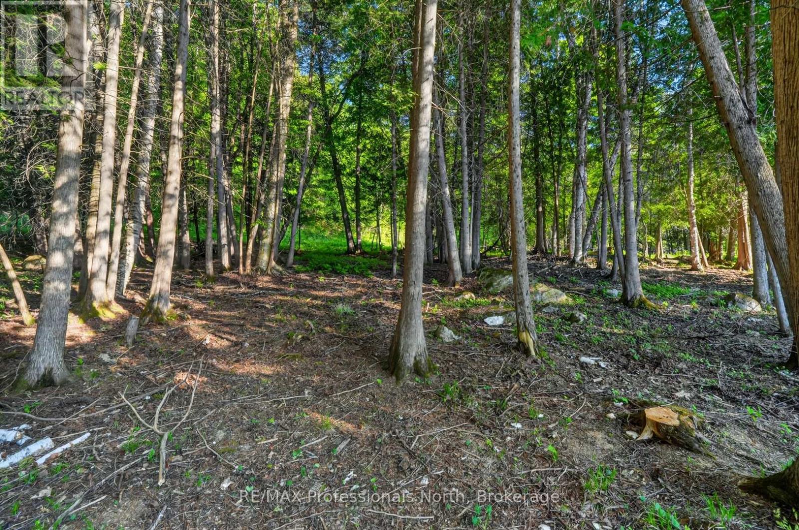 1086 Providence Drive, Algonquin Highlands, Ontario  K0M 1S0 - Photo 30 - X13247990