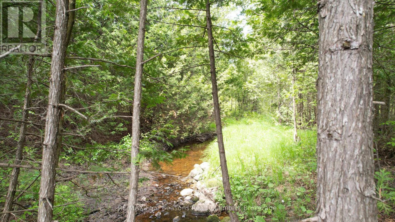 194543 Sideroad 30ndr Side Road N, West Grey, Ontario  N0G 1S0 - Photo 11 - X13248350