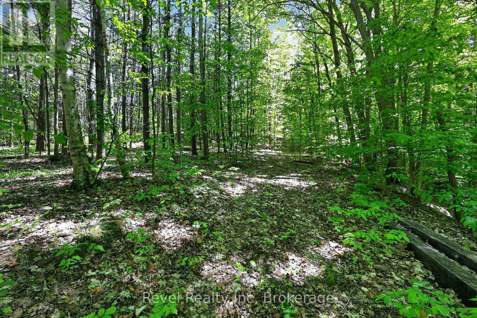 2391 Rumney Road, Tay, Ontario  L4R 4K3 - Photo 28 - S13248708