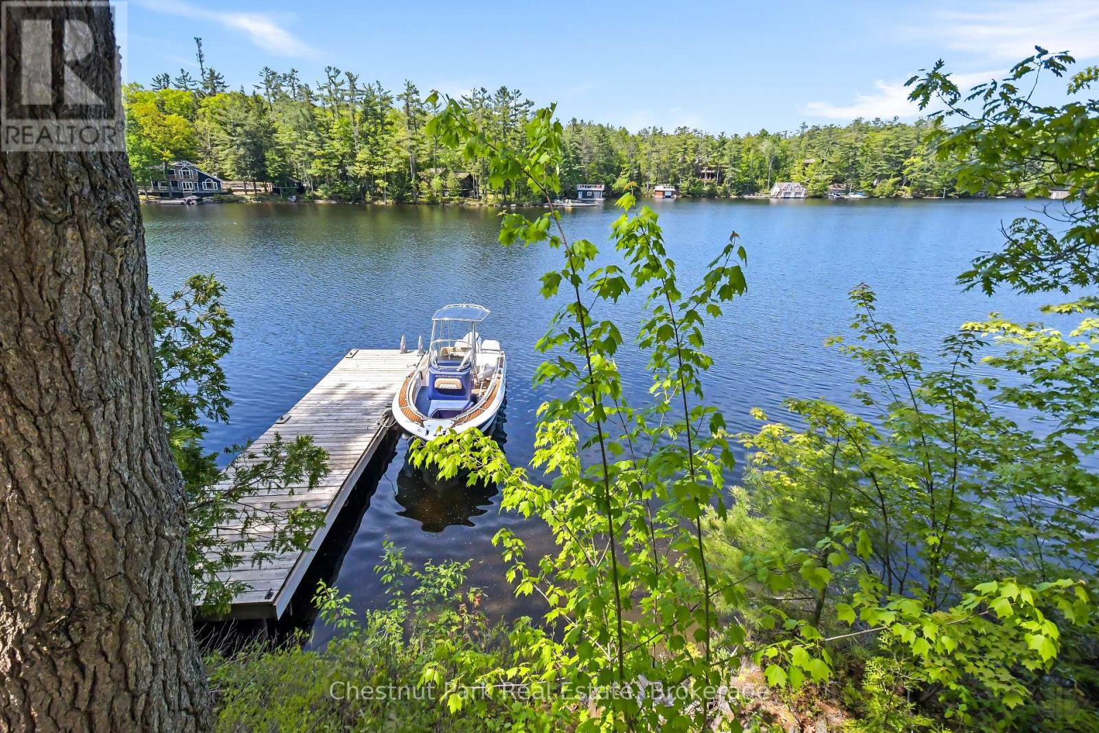 85 Taylor Island, Gravenhurst, Ontario  P1P 1R2 - Photo 34 - X13260320