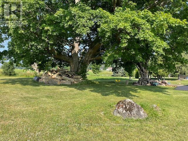202306 6 Highway, Georgian Bluffs, Ontario  N4K 5N5 - Photo 10 - X13410124