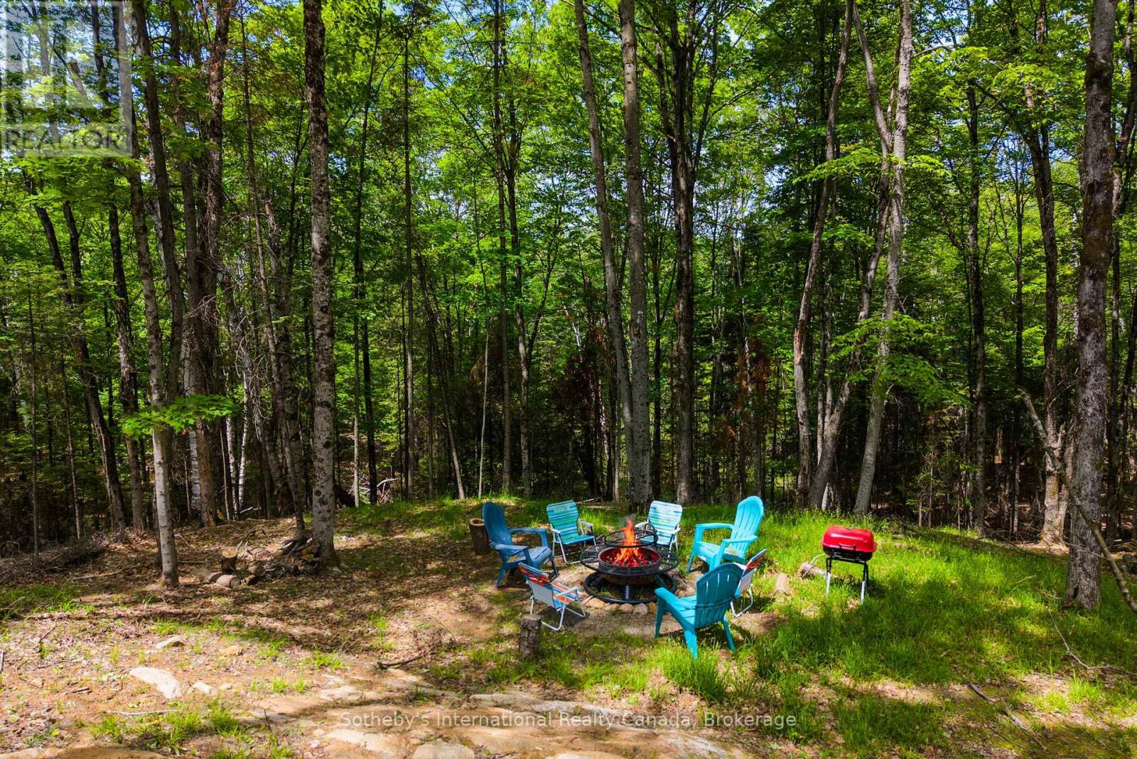 1315 North Drive, Dysart Et Al, Ontario  K0M 1S0 - Photo 24 - X13411510