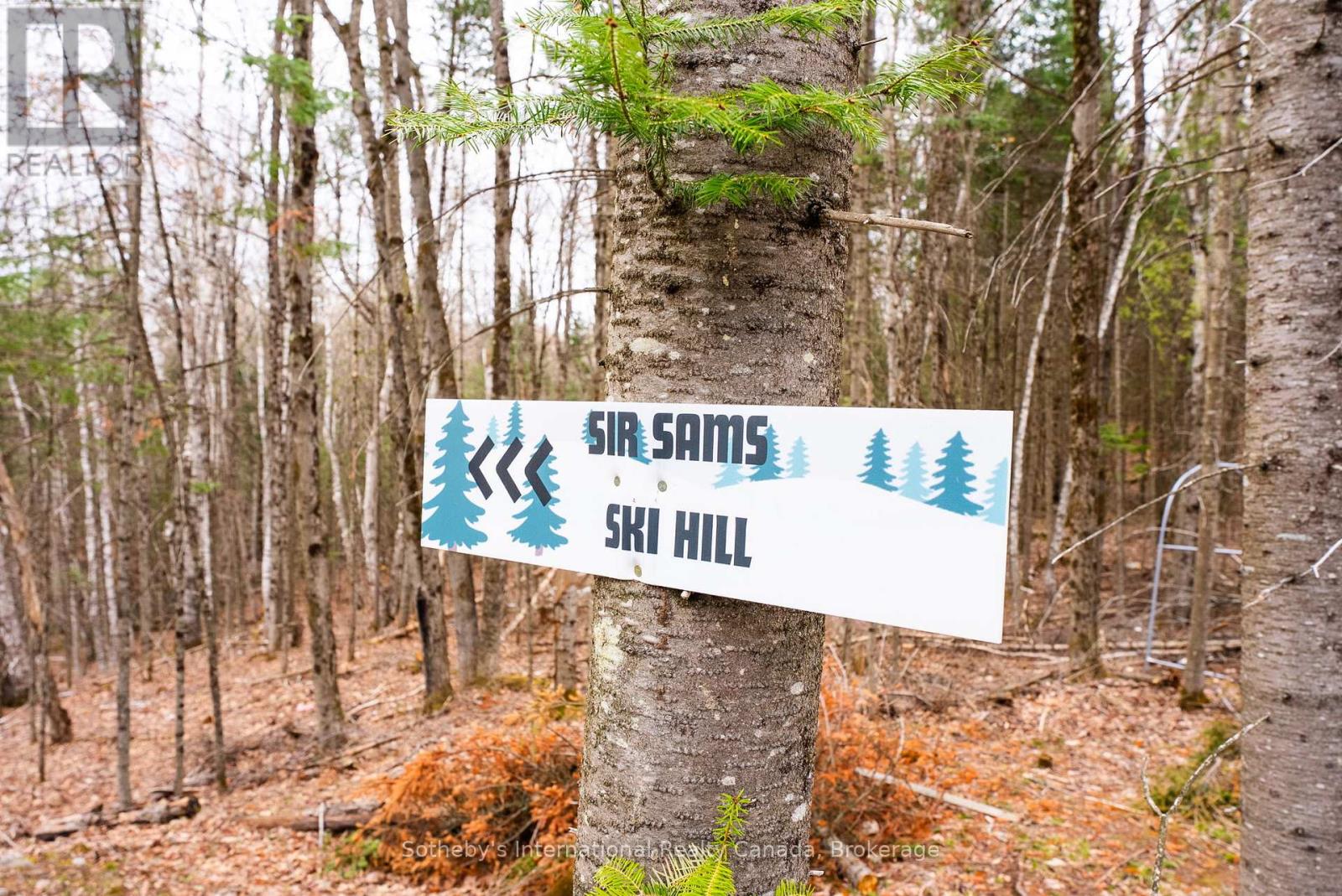 1315 North Drive, Dysart Et Al, Ontario  K0M 1S0 - Photo 26 - X13411510