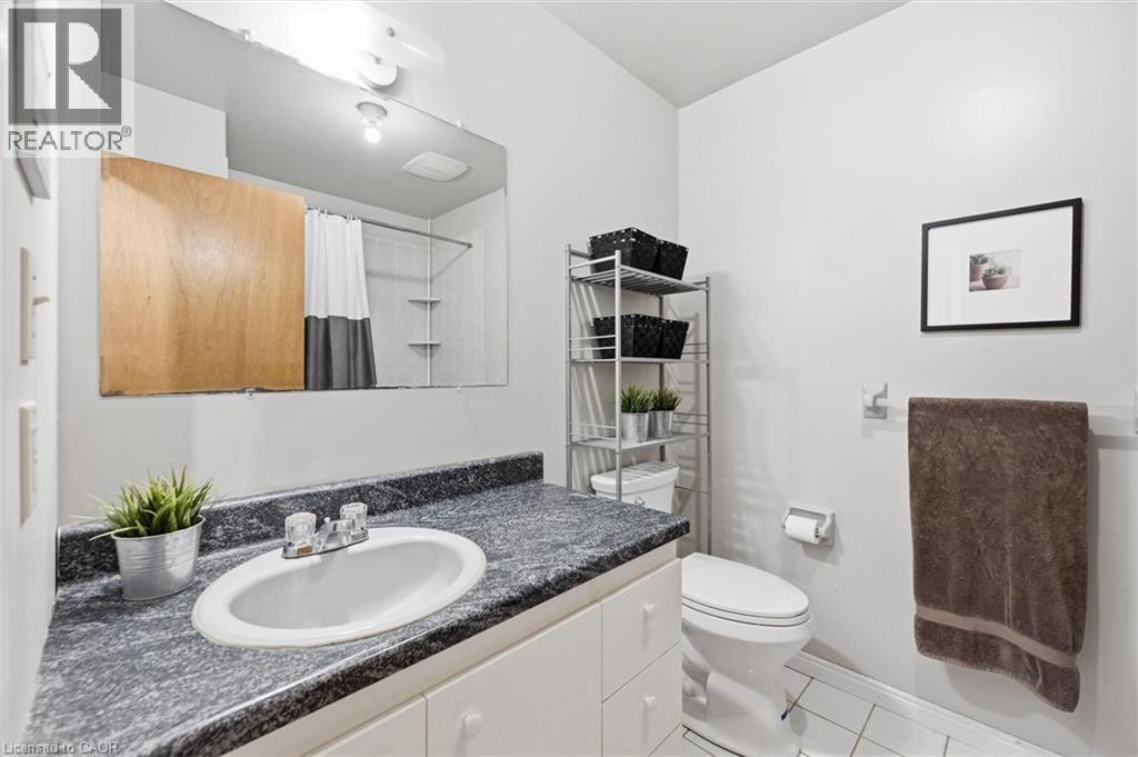 28 Rousseaux Street, Hamilton, Ontario  L9G 2W5 - Photo 32 - 40835755