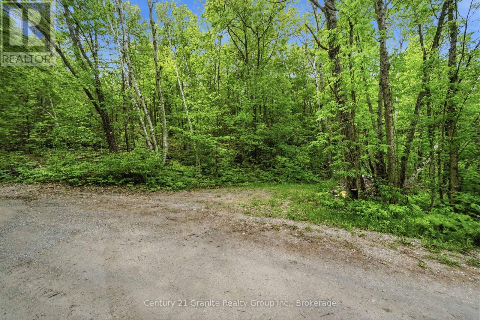 1427 Spar Lake Road, Minden Hills, Ontario  K0M 2K0 - Photo 14 - X13413722