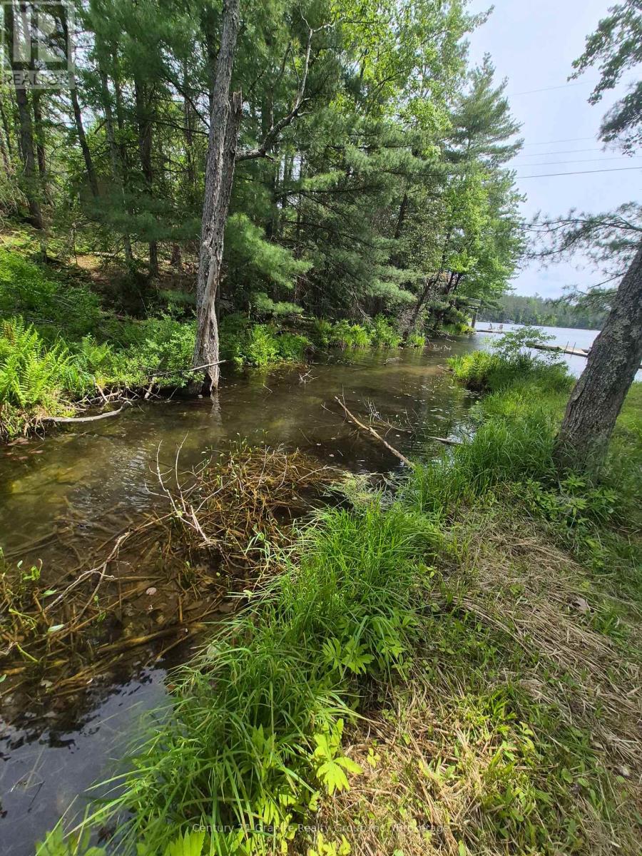 1427 Spar Lake Road, Minden Hills, Ontario  K0M 2K0 - Photo 18 - X13413722