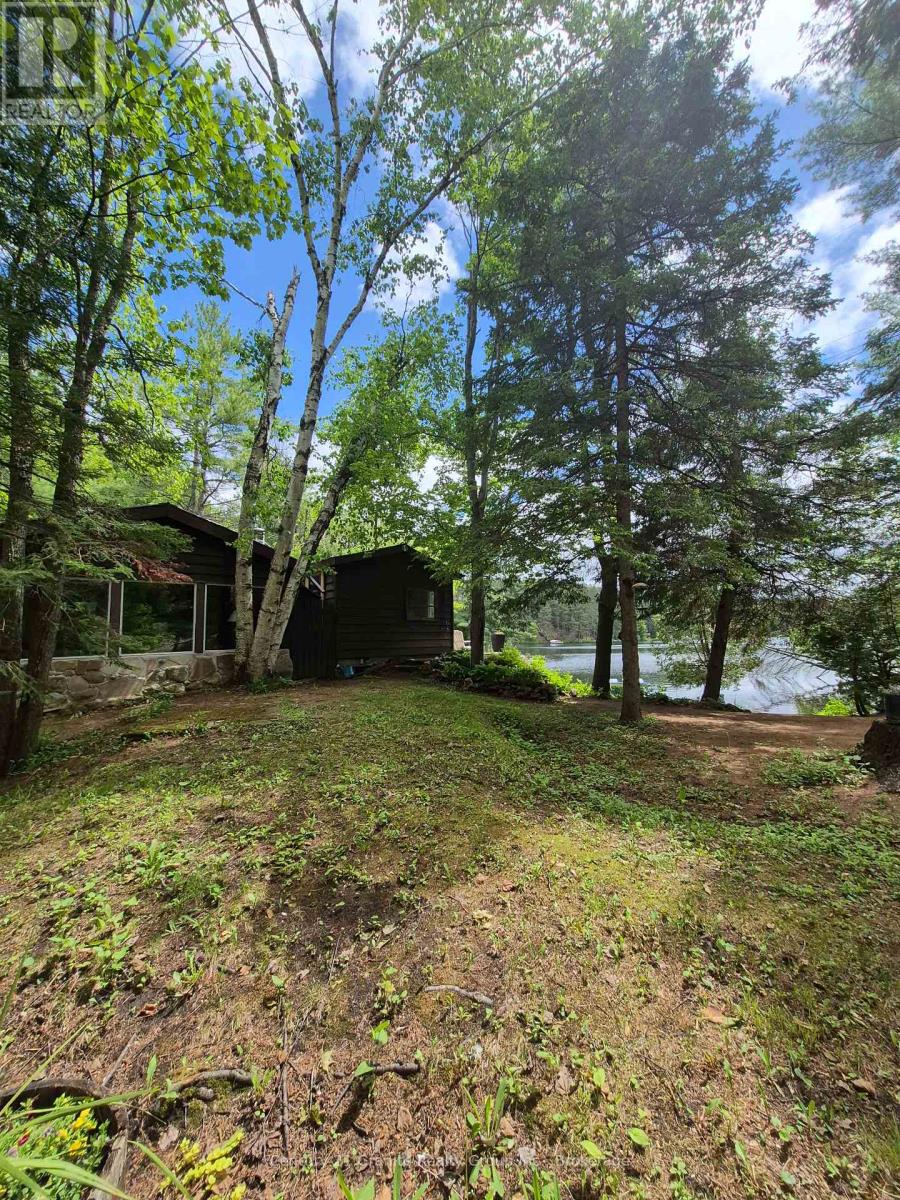 1427 Spar Lake Road, Minden Hills, Ontario  K0M 2K0 - Photo 33 - X13413722