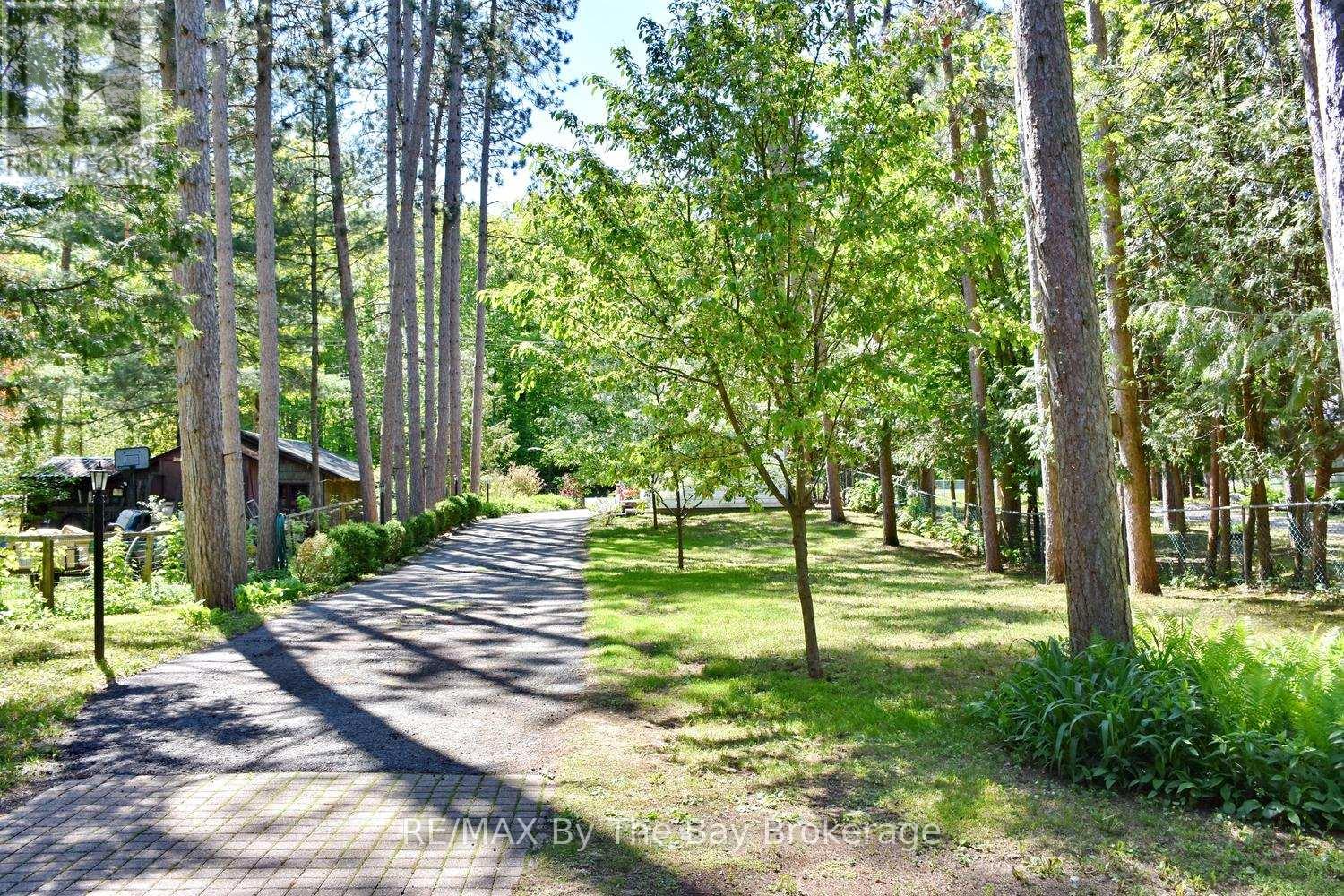 2284 South Orr Lake Road, Springwater, Ontario  L0L 1P0 - Photo 11 - S13415890