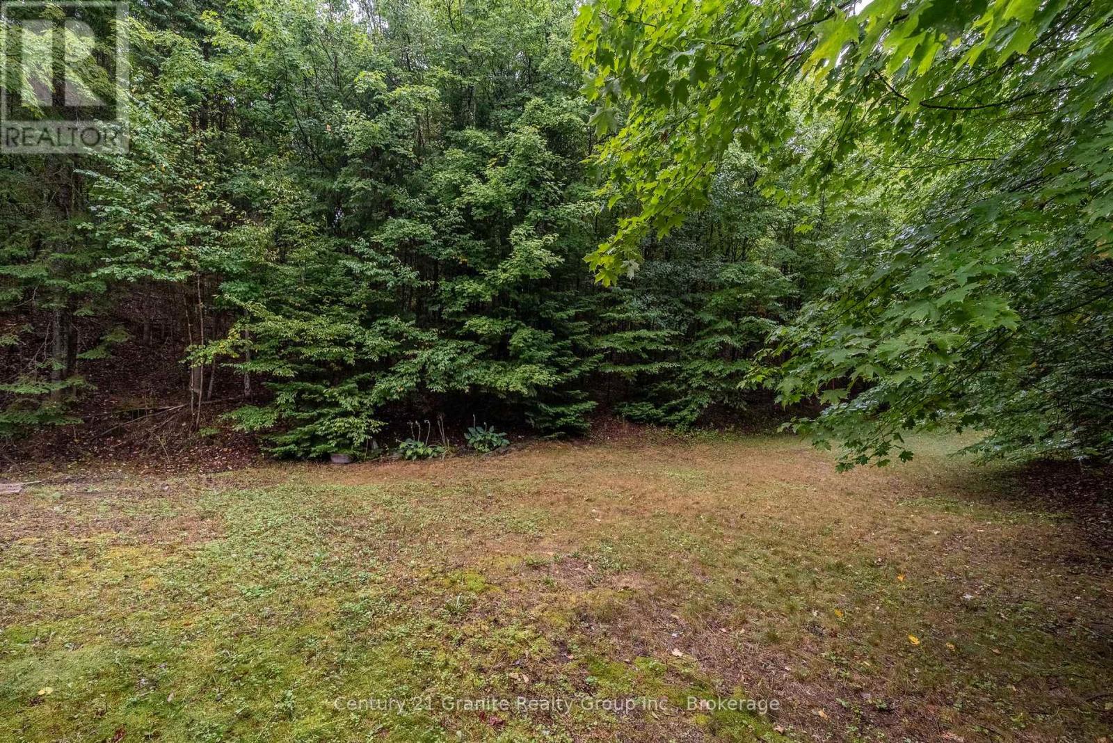 19221 Highway 118, Highlands East, Ontario  K0M 1S0 - Photo 48 - X13416228