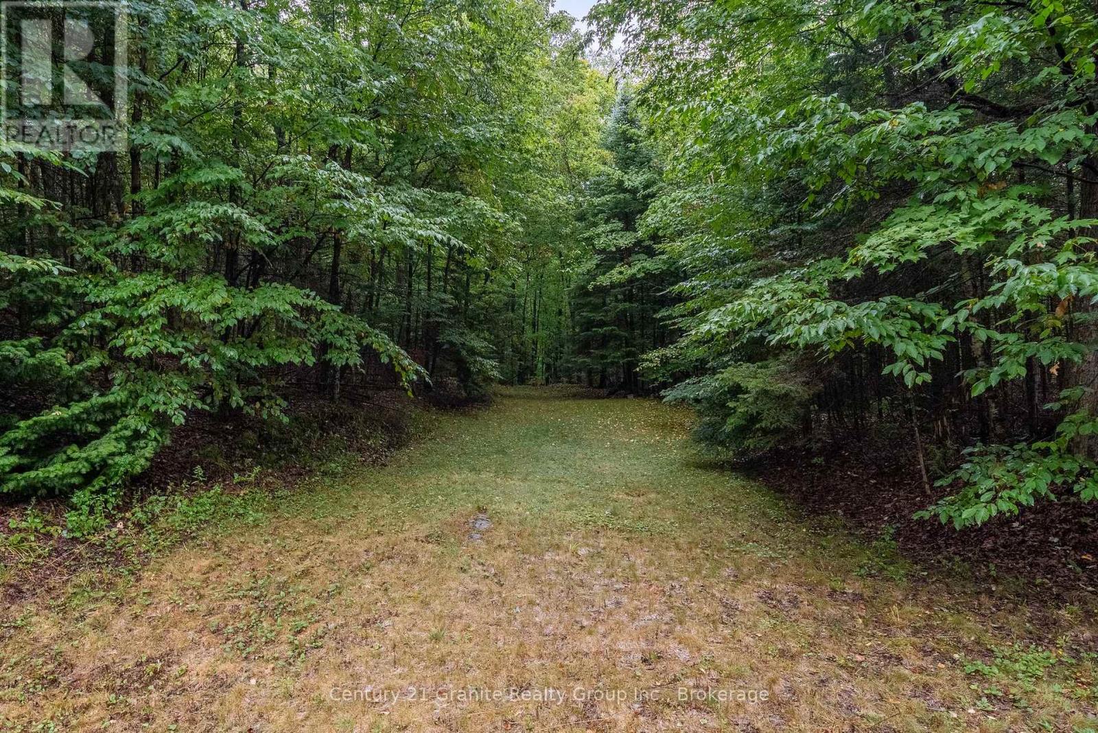 19221 Highway 118, Highlands East, Ontario  K0M 1S0 - Photo 49 - X13416228