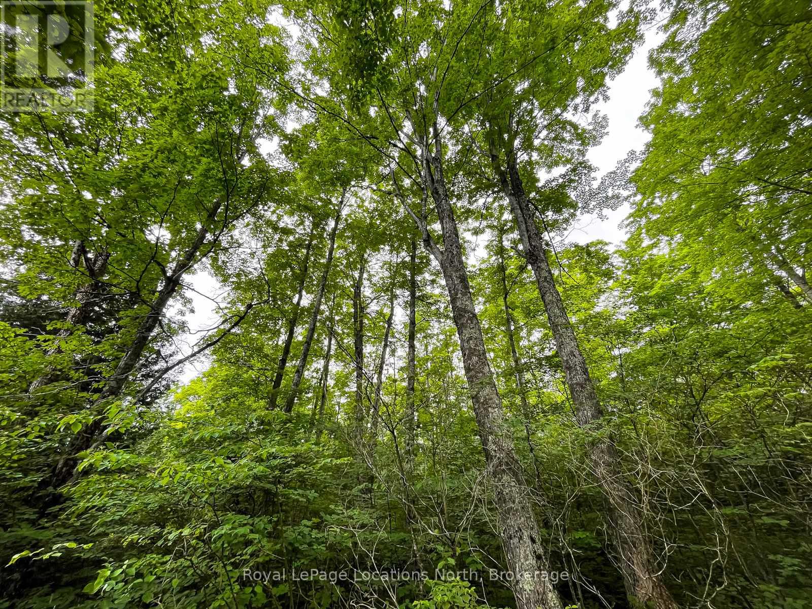 545413 4a Side Road N, Grey Highlands, Ontario  N0C 1H0 - Photo 24 - X13416868