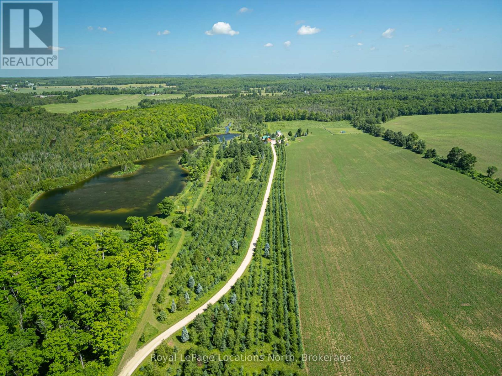 545413 4a Side Road N, Grey Highlands, Ontario  N0C 1H0 - Photo 29 - X13416868