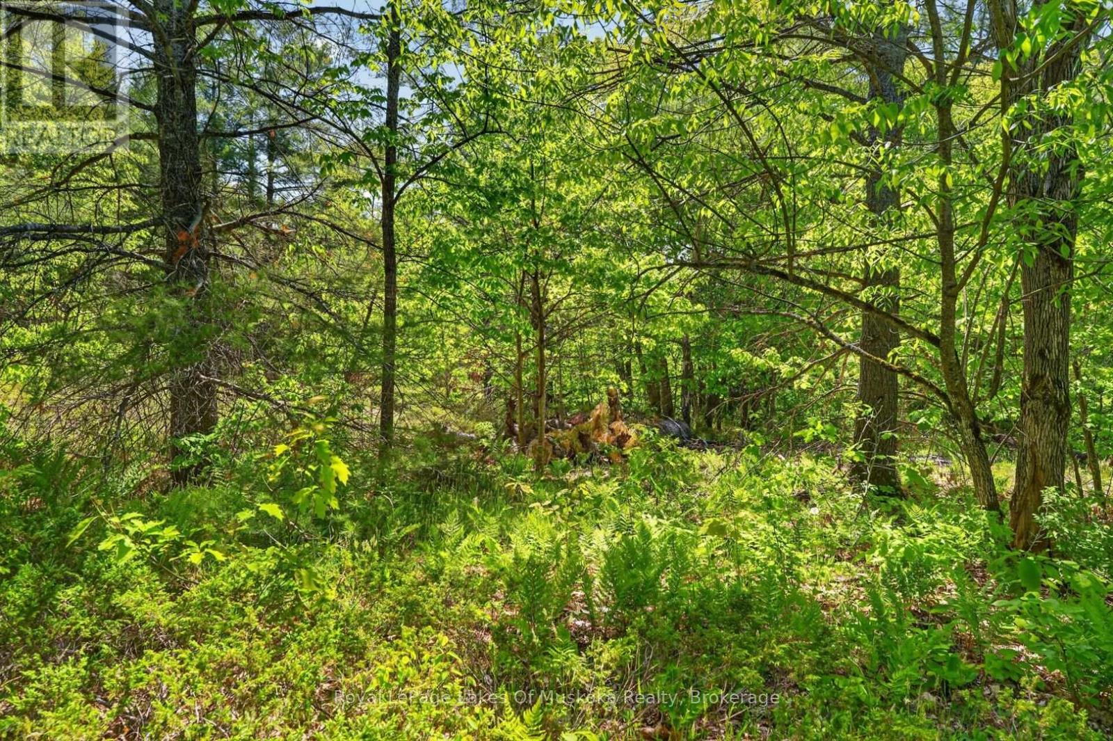 1018 Sniders Bay Road, Gravenhurst, Ontario  P1P 1R2 - Photo 36 - X13418592