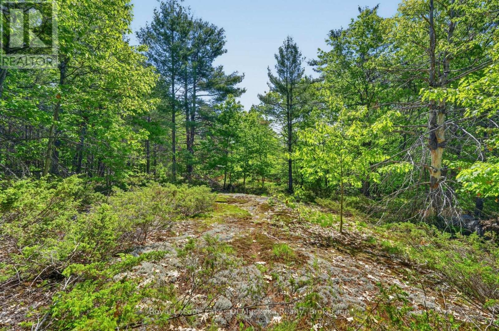 1018 Sniders Bay Road, Gravenhurst, Ontario  P1P 1R2 - Photo 37 - X13418592