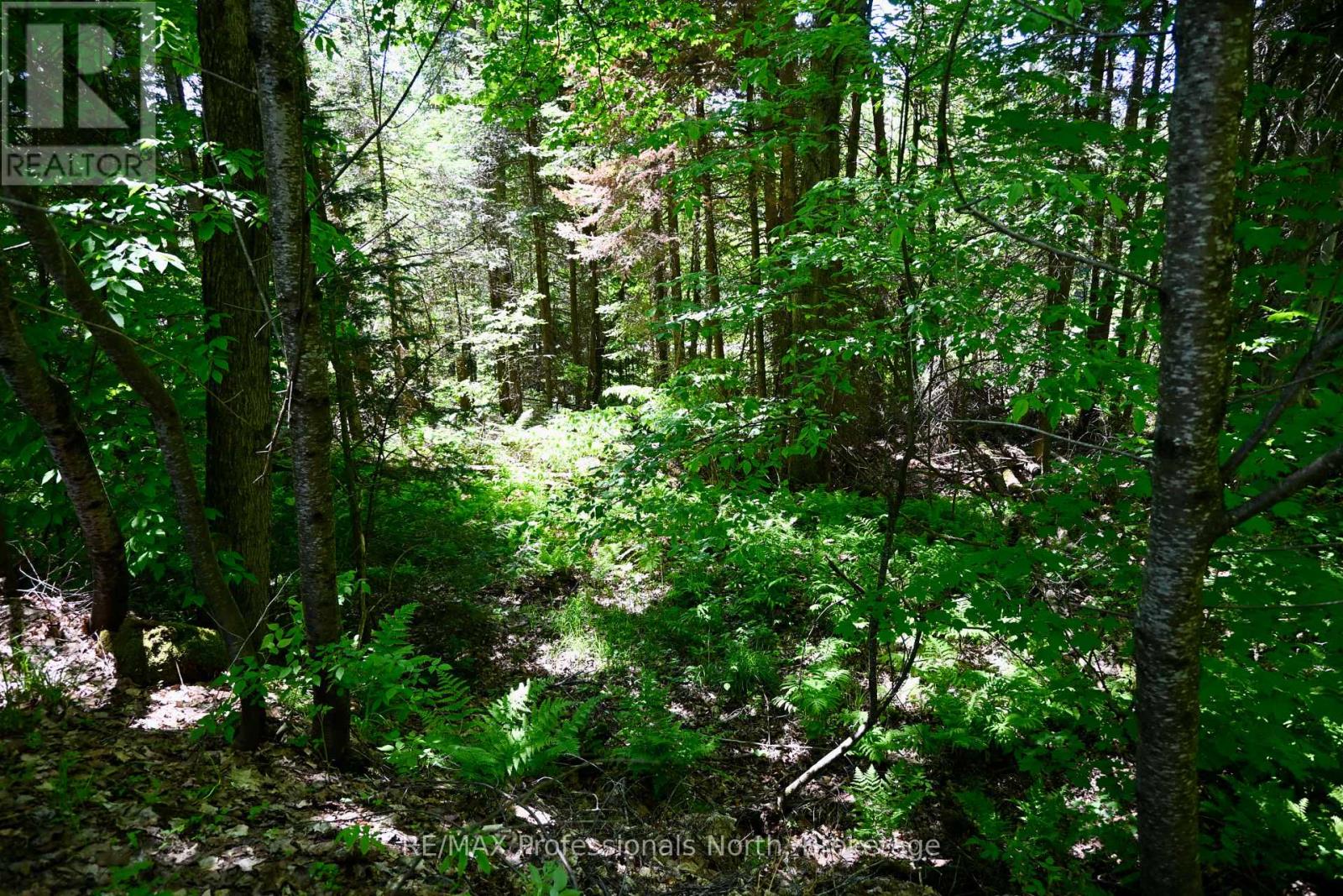 86 Bottings Road, Huntsville, Ontario  P0B 1M0 - Photo 9 - X13418834