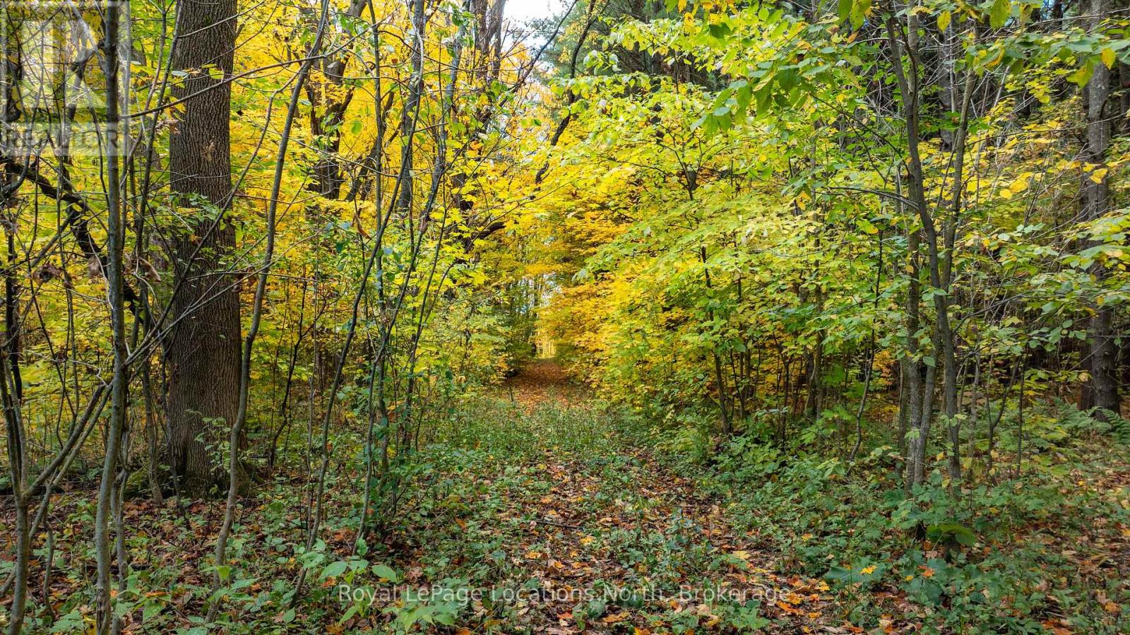609830 12th Side Road, Blue Mountains, Ontario  L9Y 0P6 - Photo 27 - X13423542