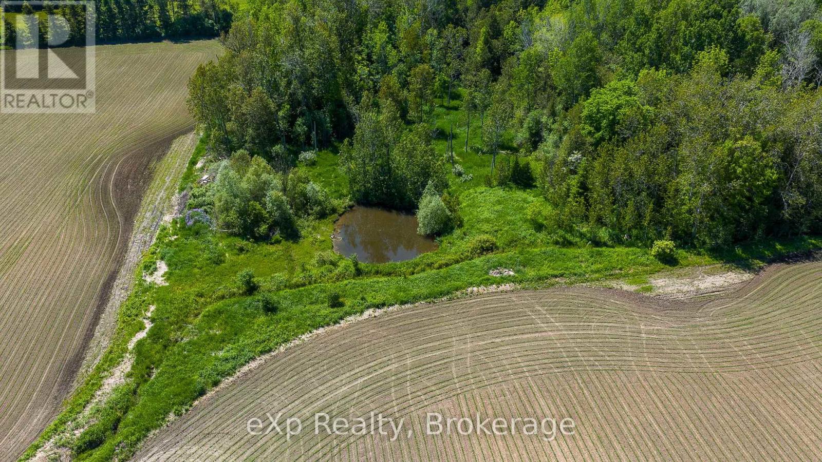 145842 Grey Road 12, Meaford, Ontario  N4L 1W5 - Photo 39 - X13428012