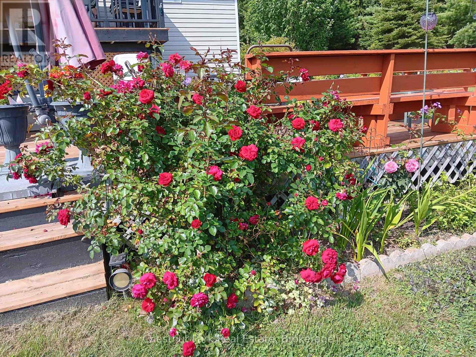 996 North Mary Lake Road, Huntsville, Ontario  P1H 1S4 - Photo 28 - X13429146
