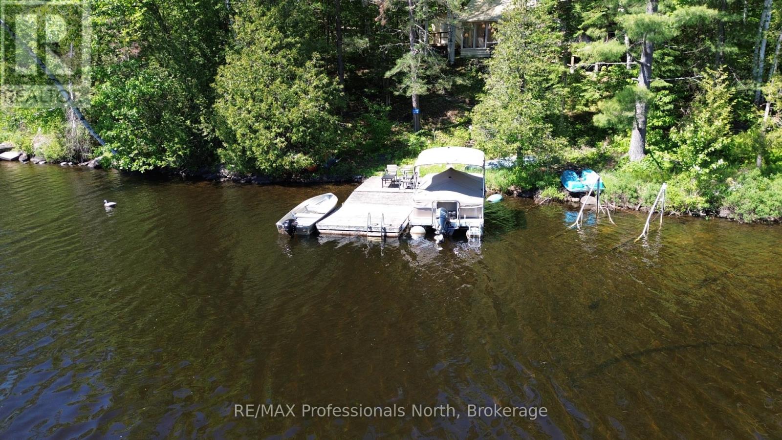 10729 Black Lake Wao, Minden Hills, Ontario  K0M 2L1 - Photo 10 - X13430088