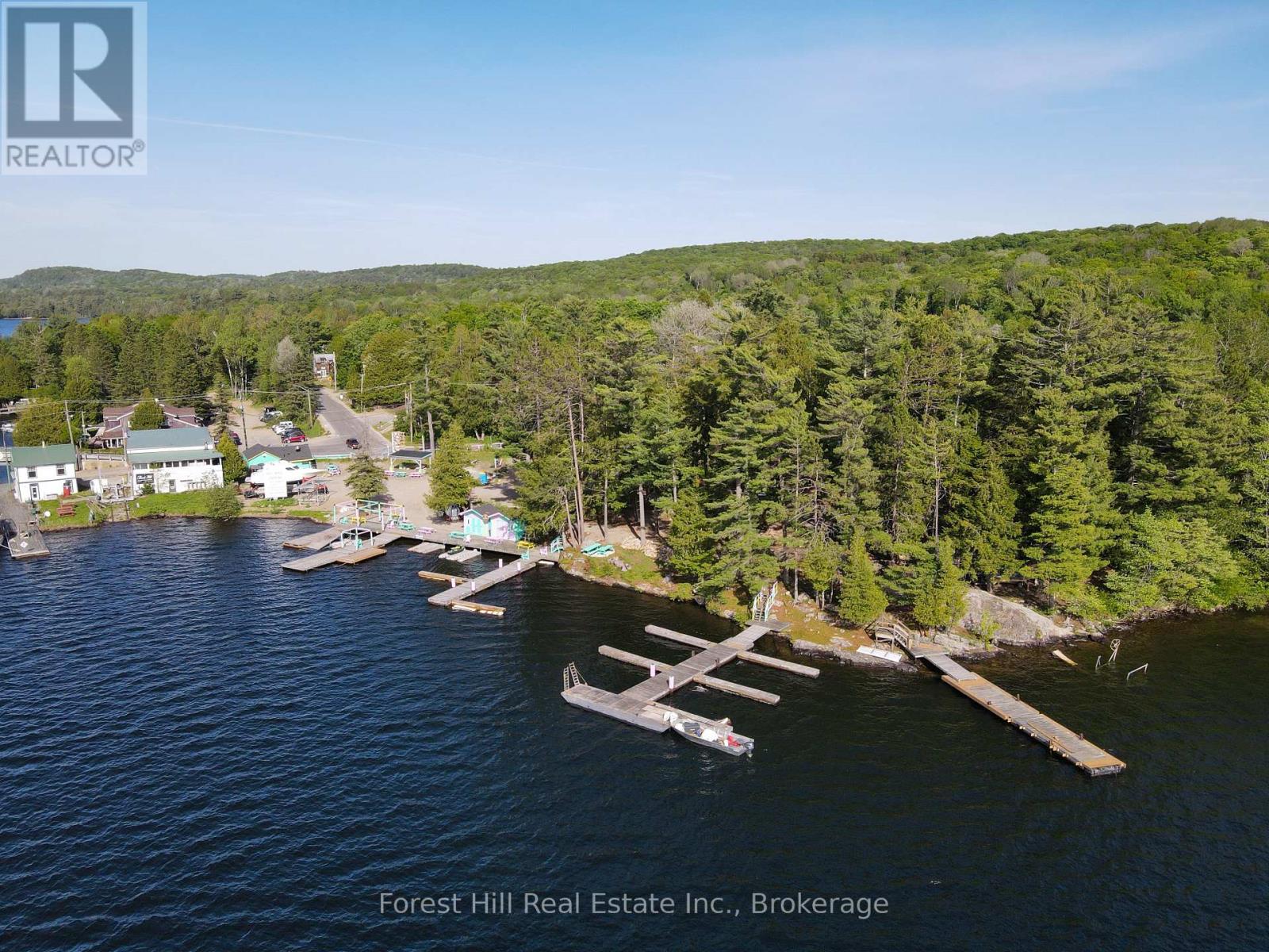 1092 Main Street, Lake Of Bays, Ontario  P0B 1A0 - Photo 2 - X13434348
