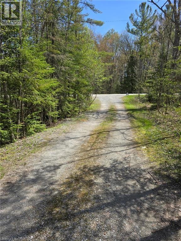 2516 Irish Line, Coldwater, Ontario  L0K 1E0 - Photo 45 - 40839171