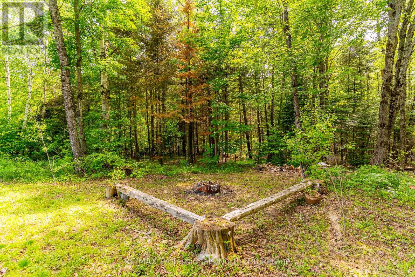 17900 Highway 118, Highlands East, Ontario  K0L 2Y0 - Photo 36 - X13435788