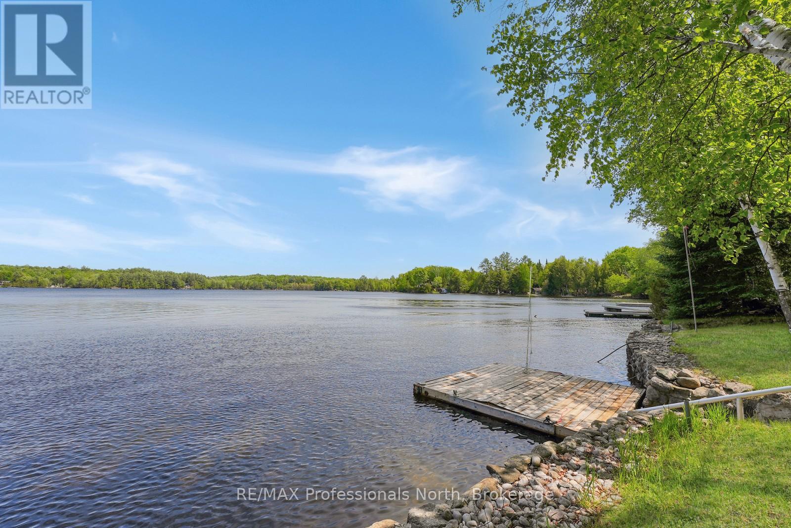 1024 Norandy Lane, Minden Hills, Ontario  K0M 2K0 - Photo 10 - X13436196